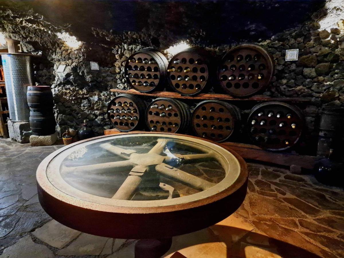 Finca Los Loros Icod De Los Vinos By Hrtenerife Net Σάντα Κρουζ Τενερίφης Εξωτερικό φωτογραφία