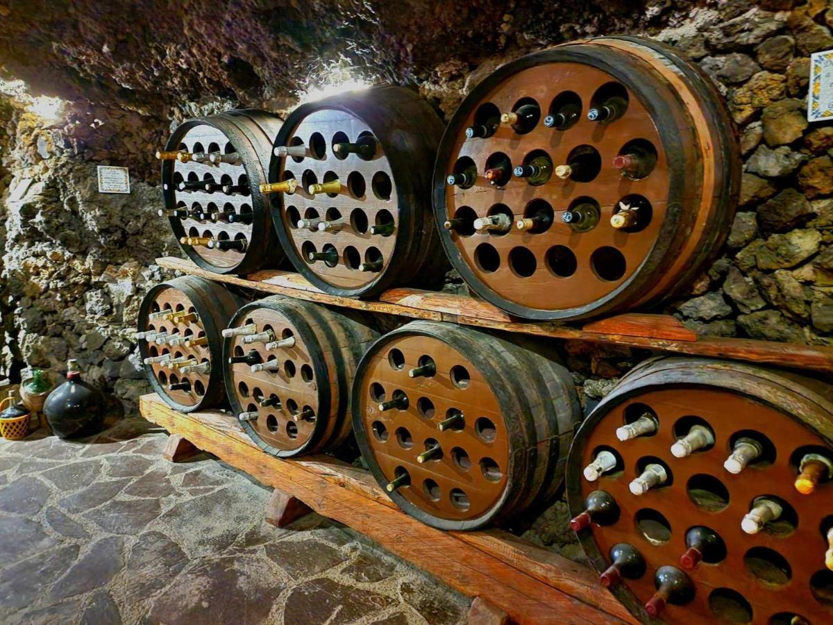 Finca Los Loros Icod De Los Vinos By Hrtenerife Net Σάντα Κρουζ Τενερίφης Εξωτερικό φωτογραφία